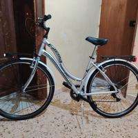 Bicicletta da passeggio faema