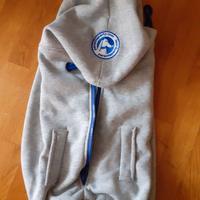 Set zaino/felpa, ciotola e guanto pulizia per cani