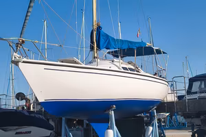 BARCA A VELA CECCARELLI EC8 MEDITERRANEO 