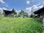 Immagine 26