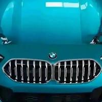 BMW 1 F40 Musata paraurti fari radiatori cofano