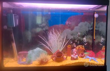 acquario in cristallo