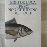 I pesci non chiudono gli occhi