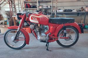 MOTO MORINI SBARAZZINO 