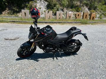 morbidelli m502n