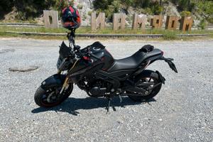 morbidelli m502n