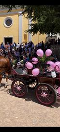 Carrozza Glinkowski 4 posti