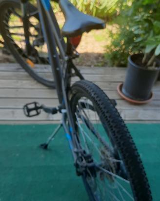 Bicicletta, marchio e femmina 