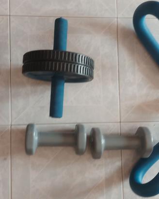 N°2 Manubri 2kg,Rullo per Palestra, Attrezzo cosce