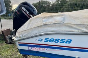 Sessa Marine Con Mercury 40cv Pro (motore Del