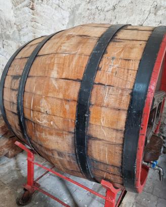 bottte rovere per vino