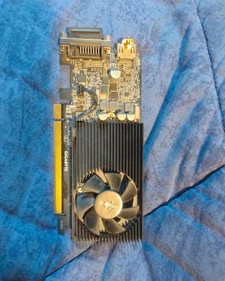 Gigabyte Gt 1030 Lp e cpu amd Phenom X4 955