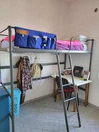 Stanza in appartamento di 14 m² a Bologna