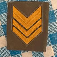 gradi esercito italiano