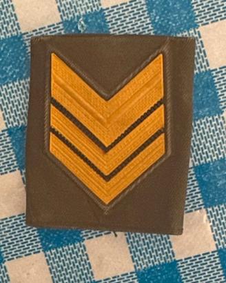 gradi esercito italiano