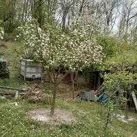 Terreno agricolo