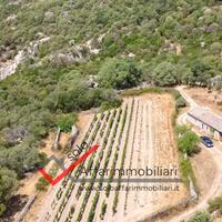 Terreno con Rudere Località San Bachisio Telti