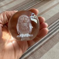 Gufo in sfera di vetro