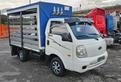 KIA K2500 CENTINATO MT3.08
