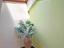 Immagine 13
