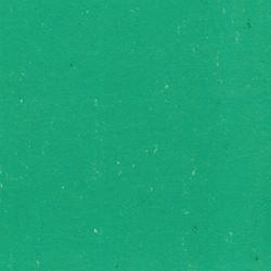 Linoleum SPESSORE 4 MM 2 MM 3 MM
