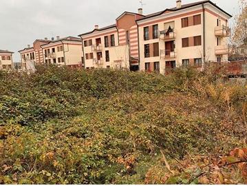 RGE 224/2023 Tribunale Verona - Lotto 6)