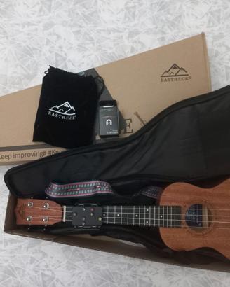 ukulele concerto in mogano nuovo
