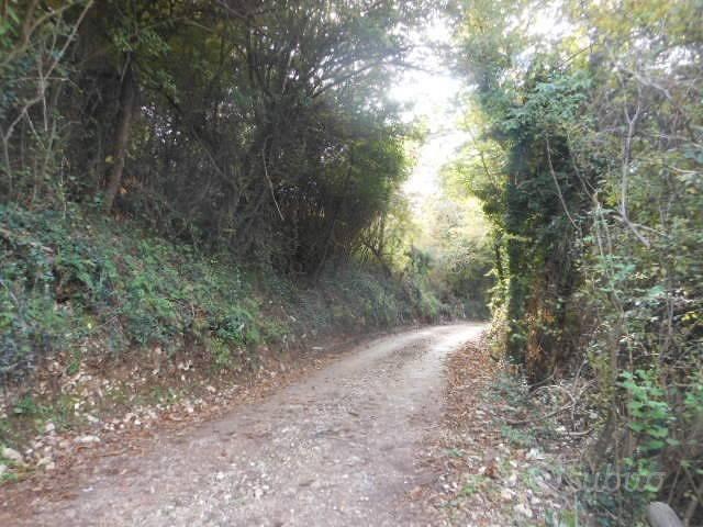 Terreno di 60000 m² a Vairano Patenora - Altro
