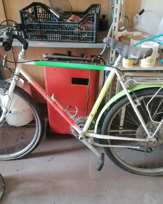 bici mountain bike