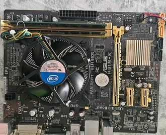 Asus H81M-k con processore I3 e memoria RAM