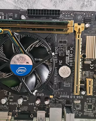 Asus H81M-k con processore I3 e memoria RAM