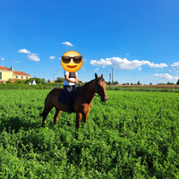 Cavallo