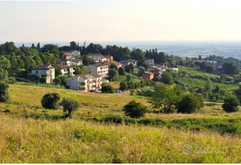 Immobile in asta di 727 m² a Bertinoro - Vista 4