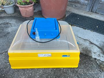 Incubatrice Novital covatutto 54