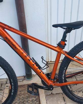 bergamont revox 3 
