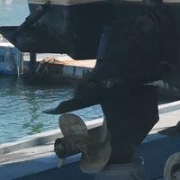 Mercruiser Bravo III XR rapporto 1.81
