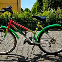 Bicicletta city bike, Adriatica con ruota di 26".