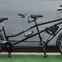 Tandem elettrico motore bafang 80nm