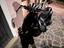 Immagine 4