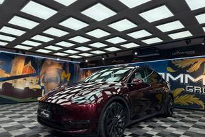 Tesla Model Y AWD Performance (423)