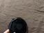 Immagine 2