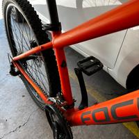 Mtb focus