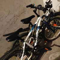Bici bimbo 20 pollici