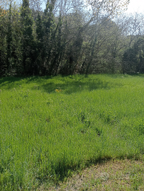 Casa laterale di due , più unità con garage