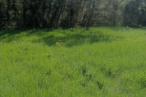 Casa laterale di due , più unità con garage