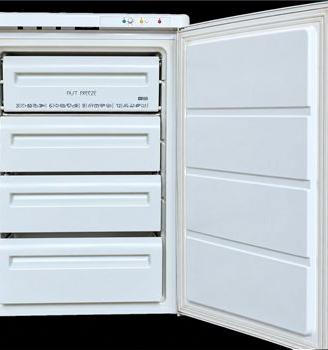 Congelatore verticale 4 cassetti Electrolux Rex