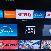 TV Nikkei 32"+Fire Stick+Ripetitore wifi