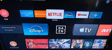 TV Nikkei 32"+Fire Stick+Ripetitore wifi