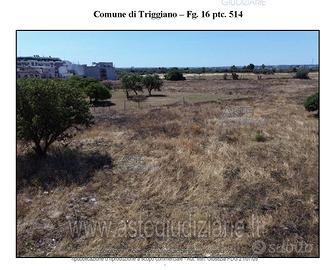 Terreno Agricolo Triggiano [A4337974]