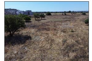 Terreno Agricolo Triggiano [A4337974]
